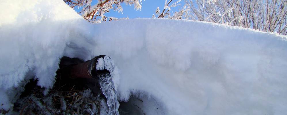 
            Фотография Шварихи