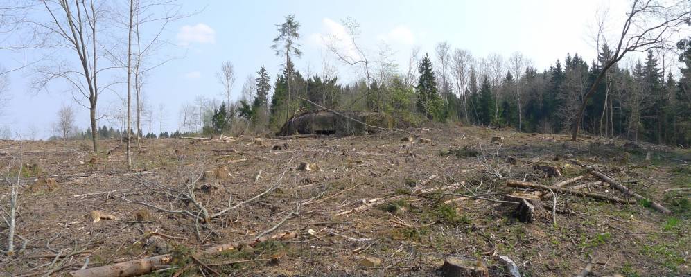 Фотография Путников