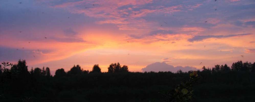 
            Фотография Октябрьского