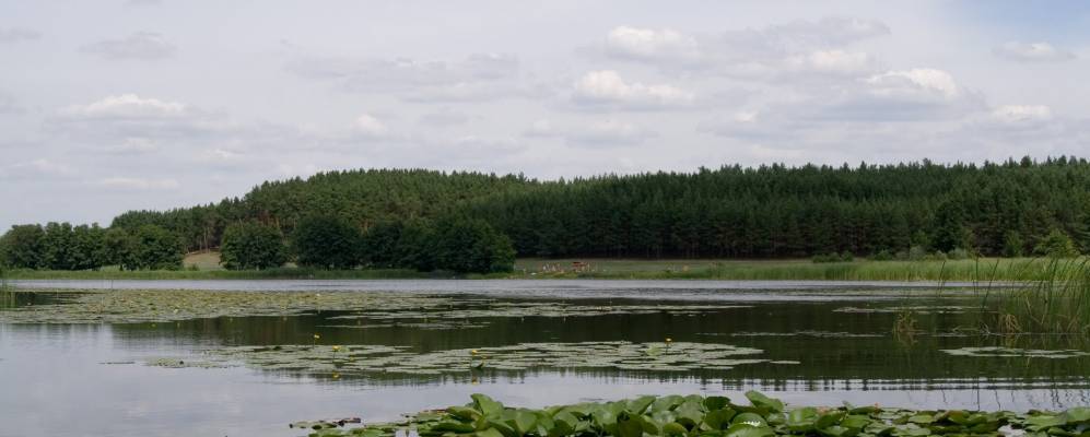 Фотография Ольховатки