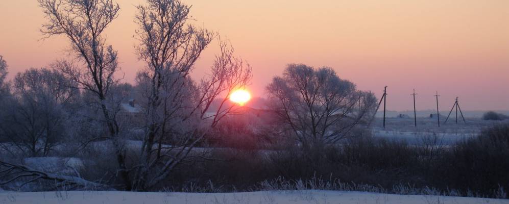 Фотография Совки