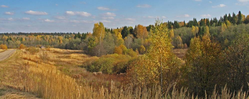 
            Фотография Морозово