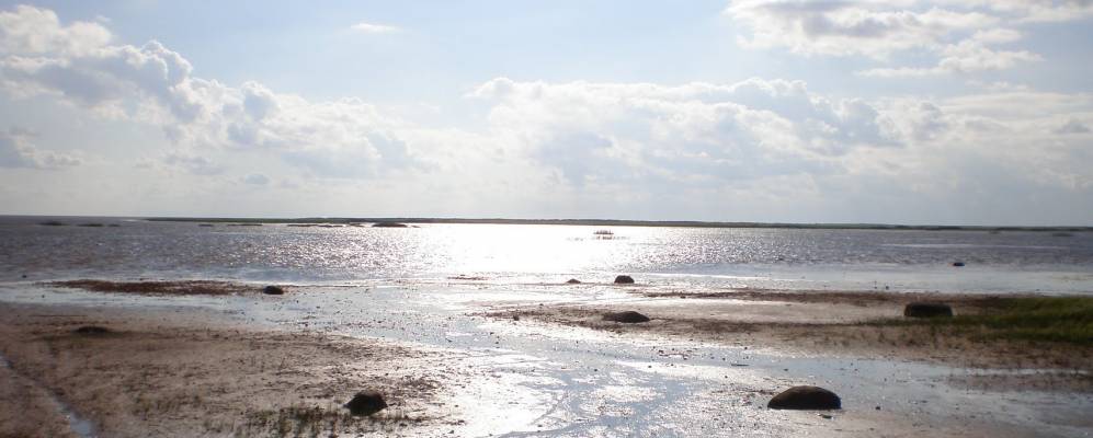 
            Фотография Заречья (Хохуля)