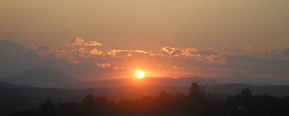 
            Фотография Сенна Комаско