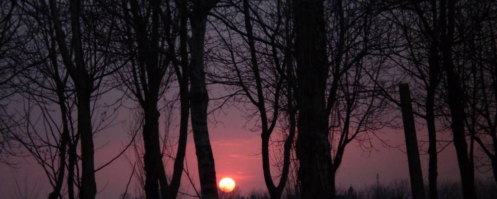 
            Фотография Казале ди Скодозии