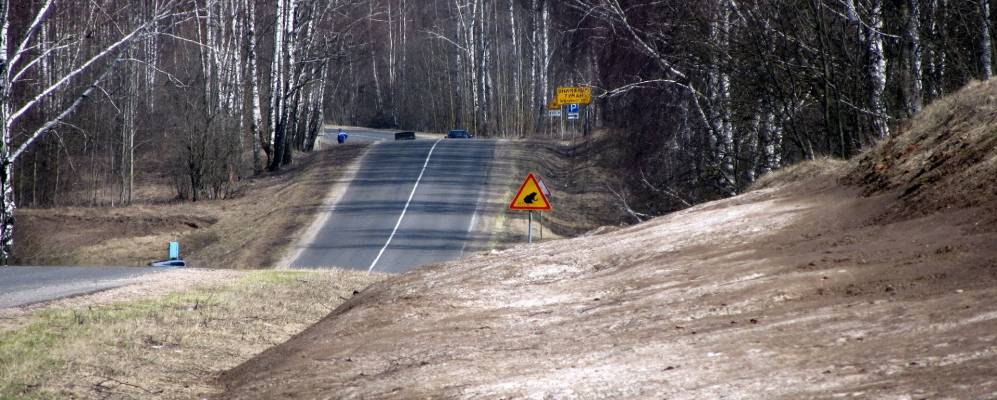 Фотография Нового Прибужья