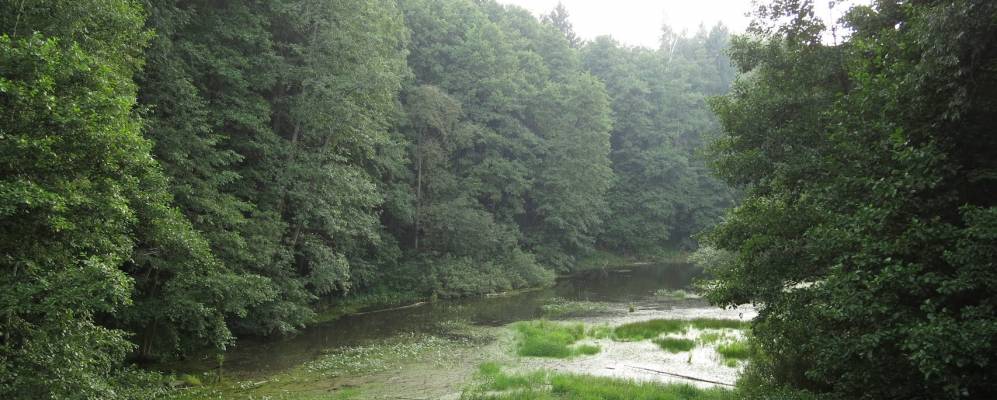 
            Фотография Мишино