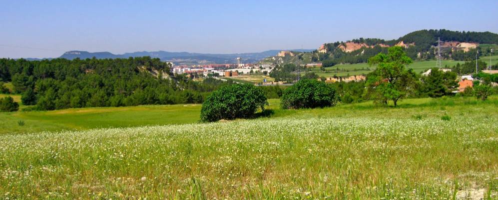 
            Фотография Одены