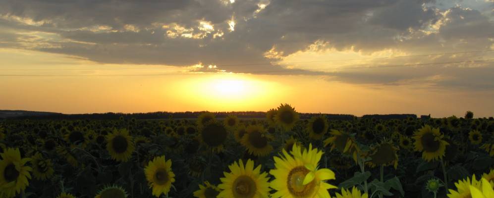 
            Фотография Надеждинки