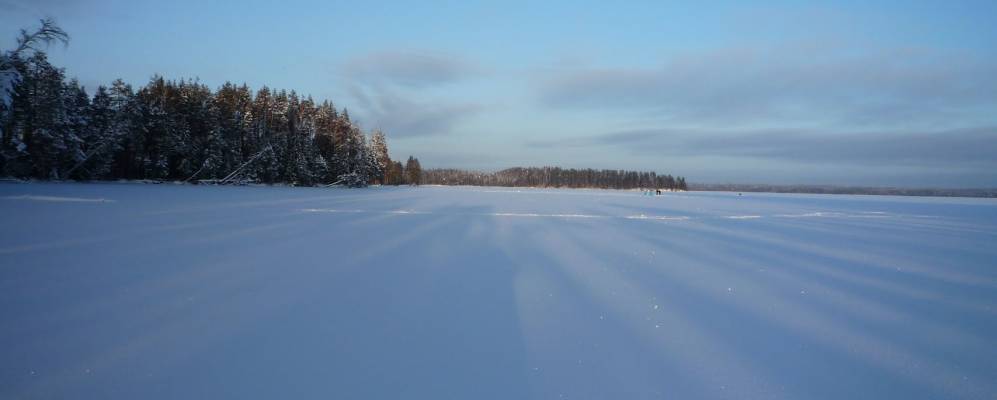 Фотография Гороховской