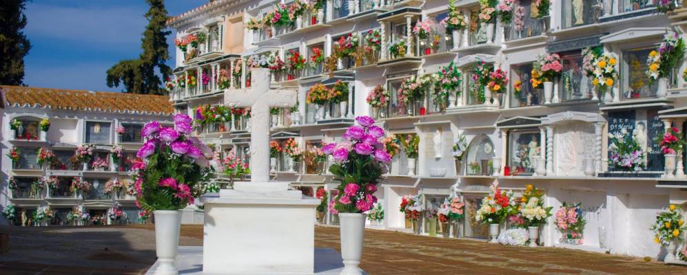 
            Фотография Комарес