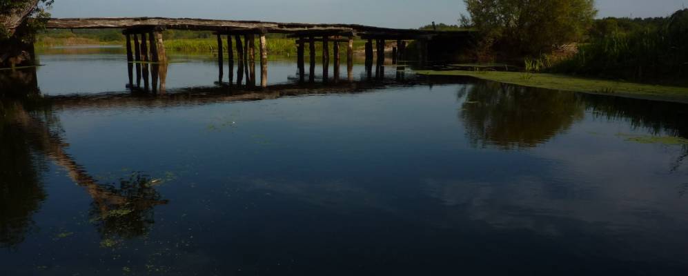 
            Фотография Гишина