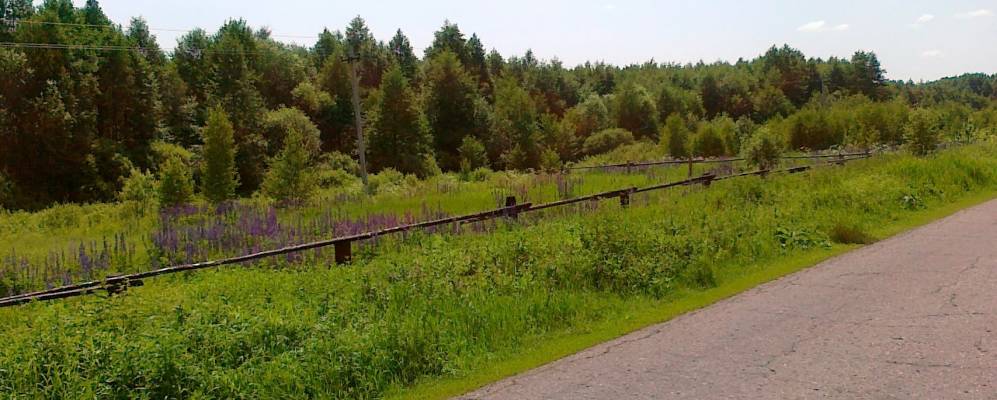 
            Фотография Хохолевки