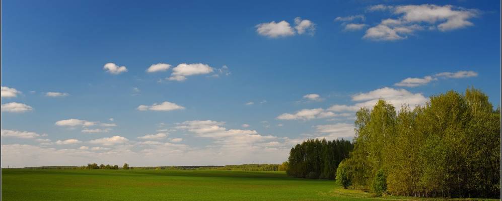 
            Фотография поселка Жуковские Выселки