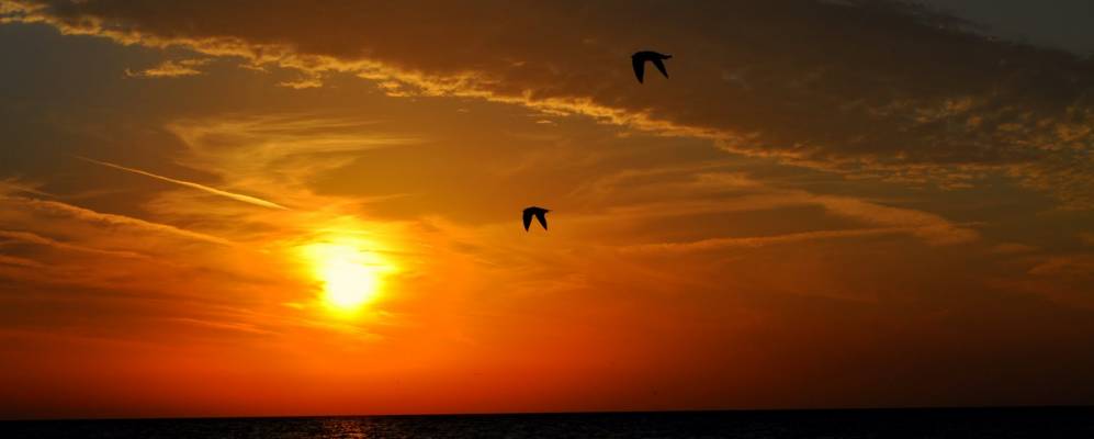 
            Фотография Бласделла