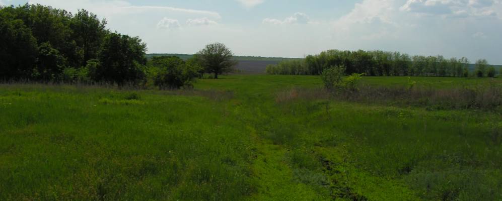 
            Фотография Казахского