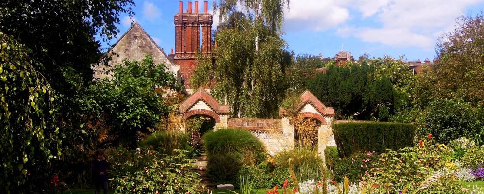 
            Фотография Льюиса