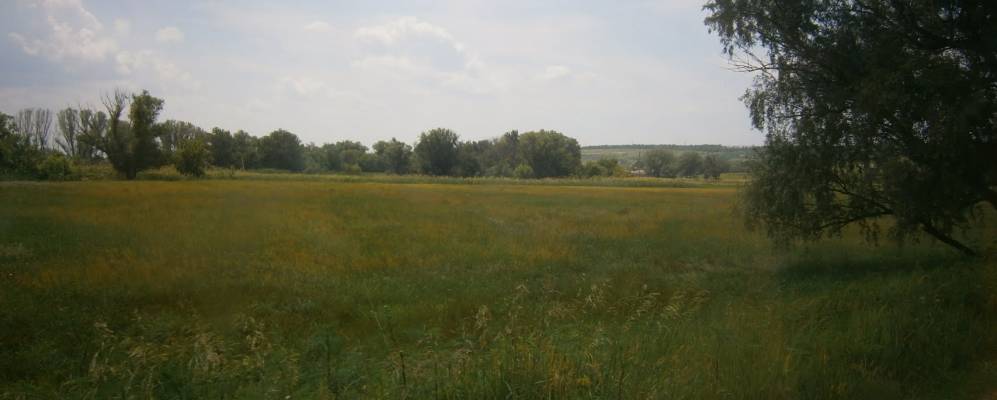 
            Фотография Алексеевки