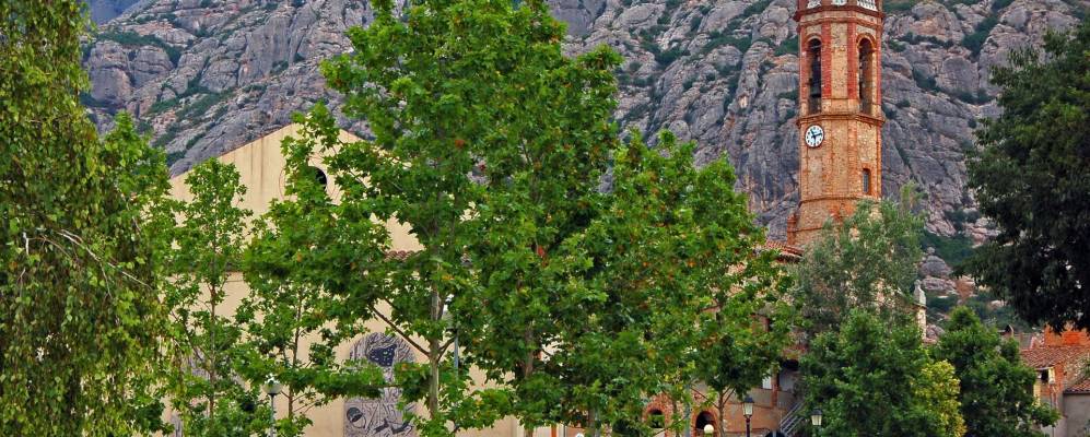 
            Фотография Кольбато