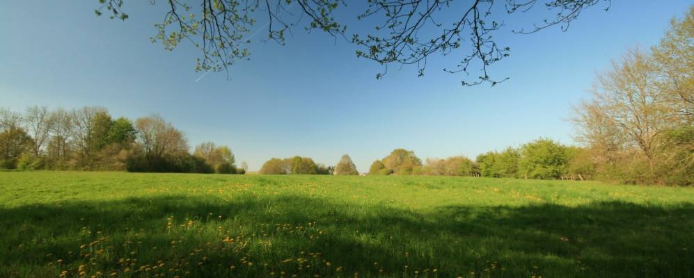 
            Фотография Сеньле