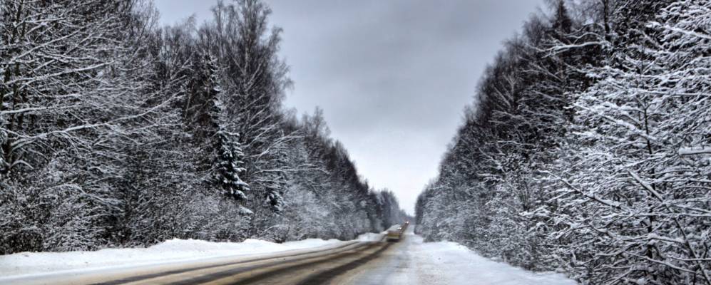 Фотография Металлиста