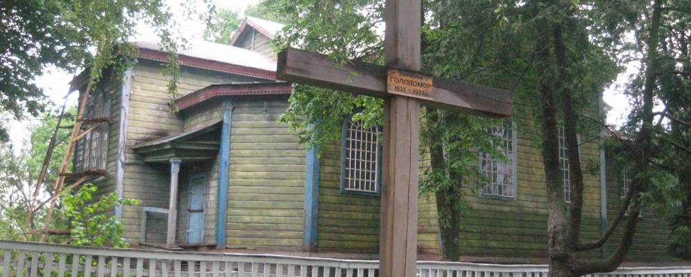 
            Фотография Воронек