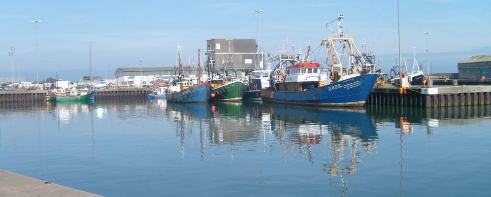 
            Фотография Портавоги