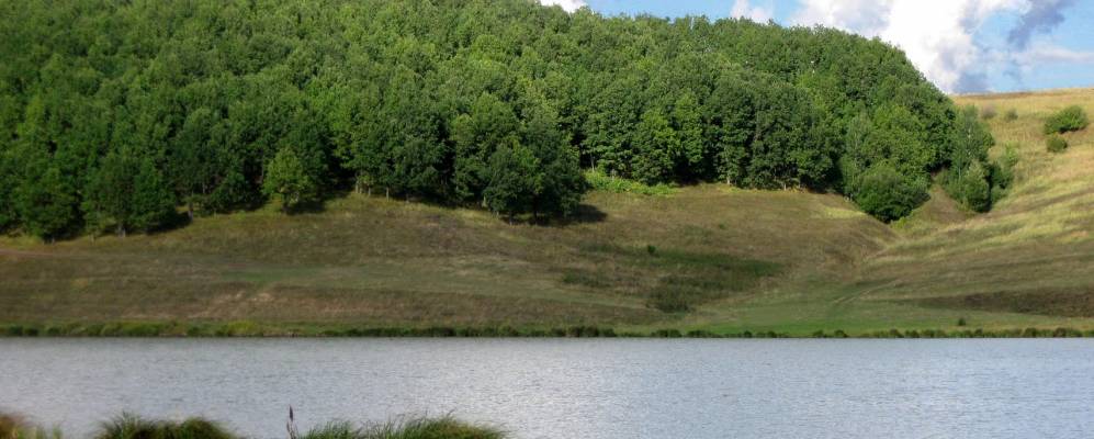 
            Фотография Шумана