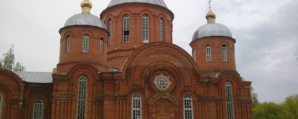 
            Фотография Бобровинок