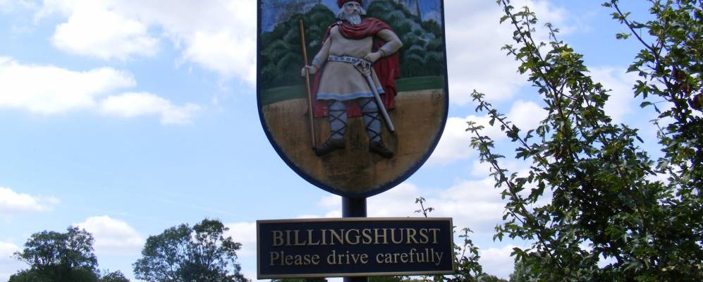 
            Фотография Биллингшерста