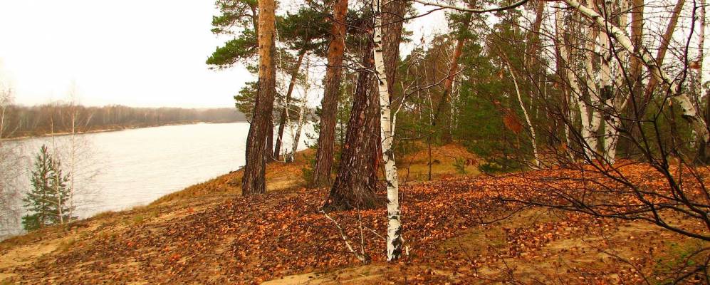 Фотография Сергушкино