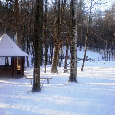 Середкевичи