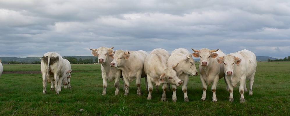 Фотография Varaville