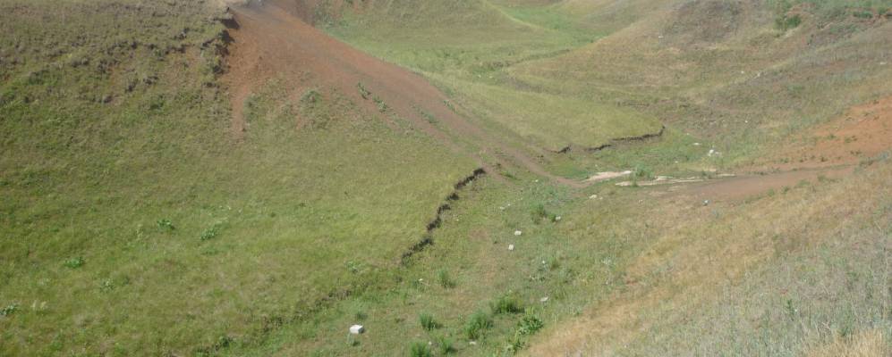 
            Фотография Опытного Хозяйства