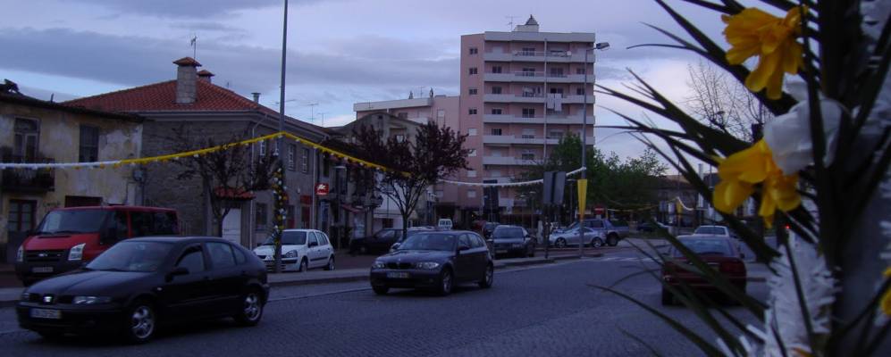 Фотография Амариша