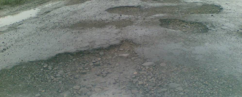 
            Фотография Скригового