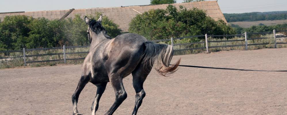 
            Фотография Отрадного