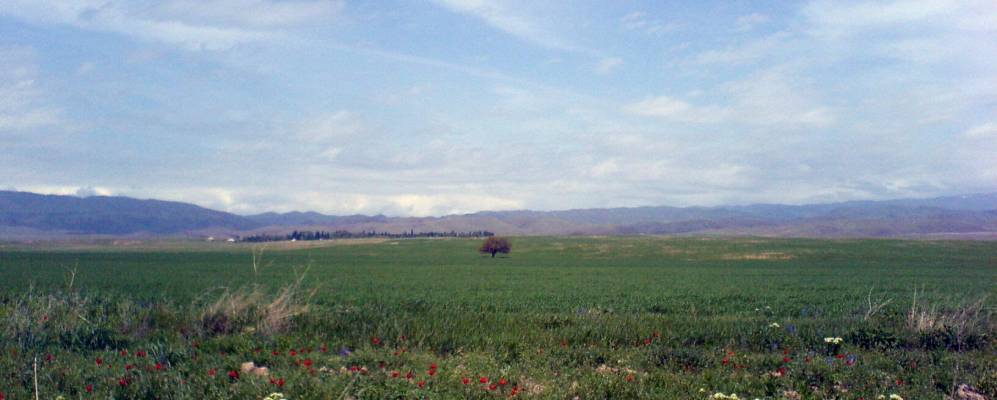 
            Фотография Кызылсая