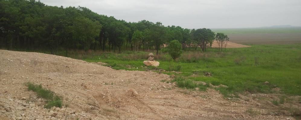 
            Фотография Биджана