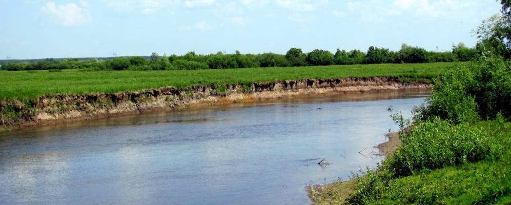 
            Фотография Козлиничи