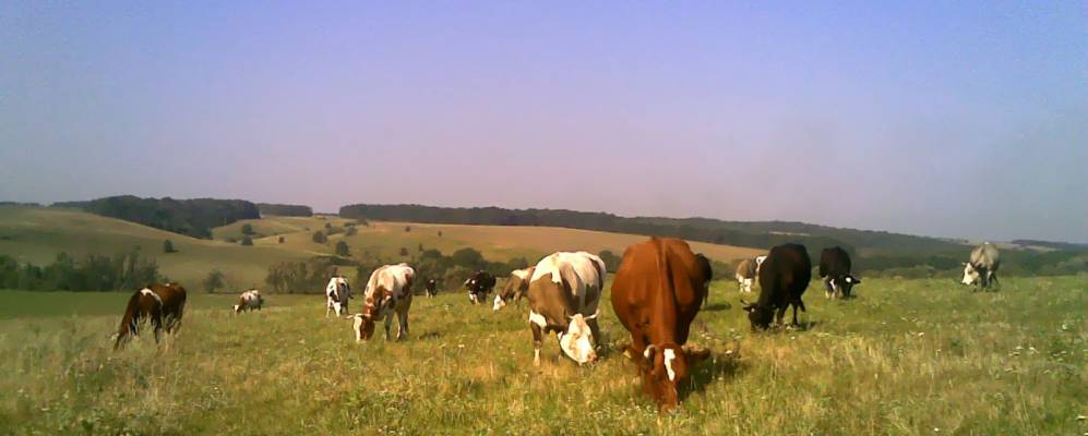 
            Фотография Величково