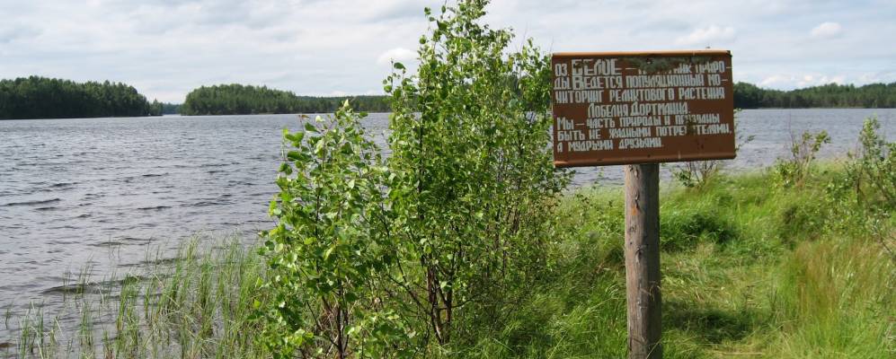 
            Фотография Панкратово