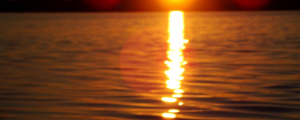 Фотография Гавино