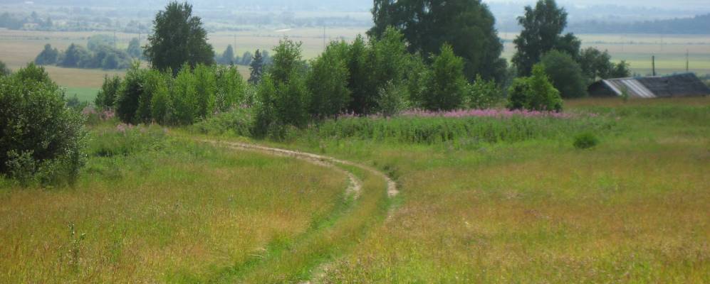 Фотография Шаманихи