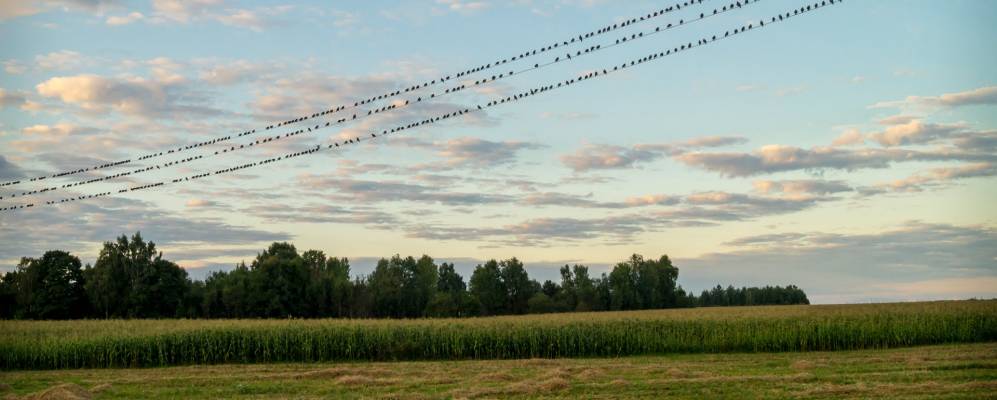 Фотография деревни Ковали