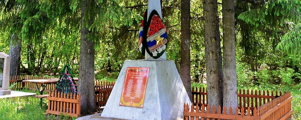 Фотография Лесной