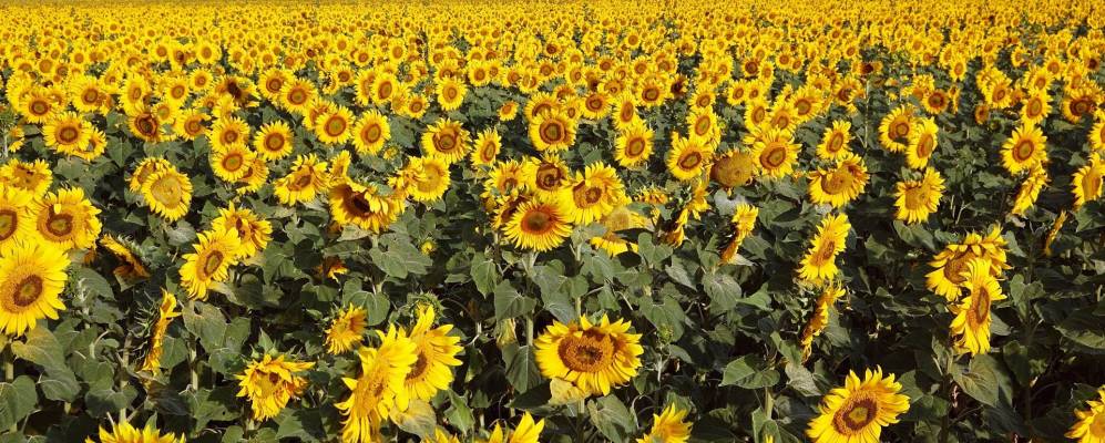 
            Фотография Верхней Покровки