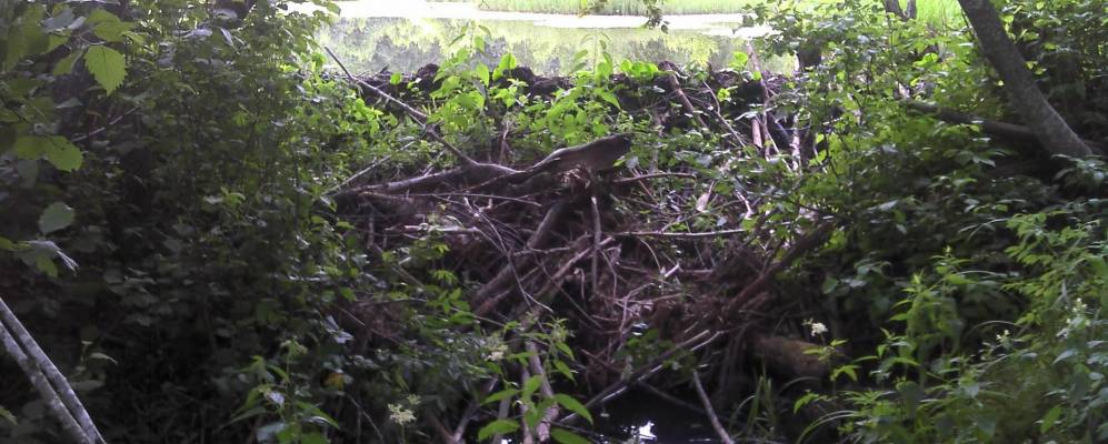 
            Фотография деревни Узи