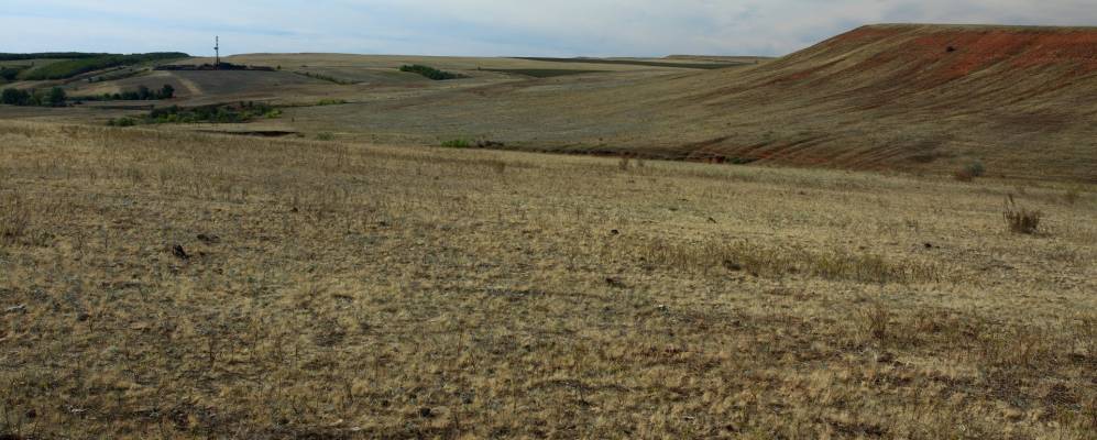 
            Фотография Краснополья