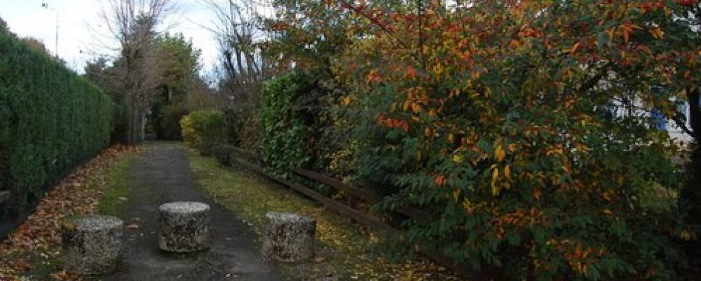 
            Фотография Эланкура